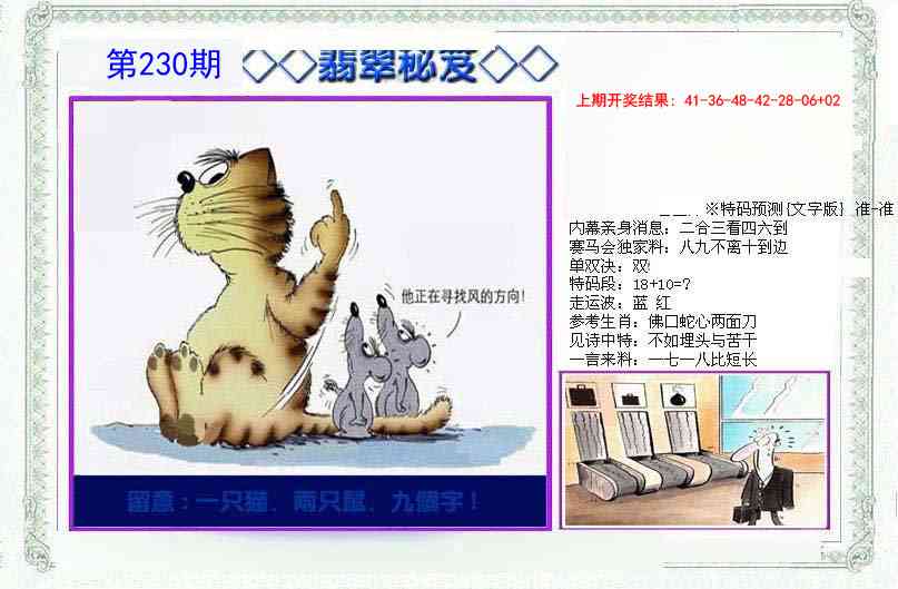 230期另翡翠秘笈[图]