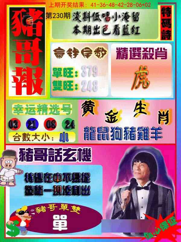 230期猪哥报[图]