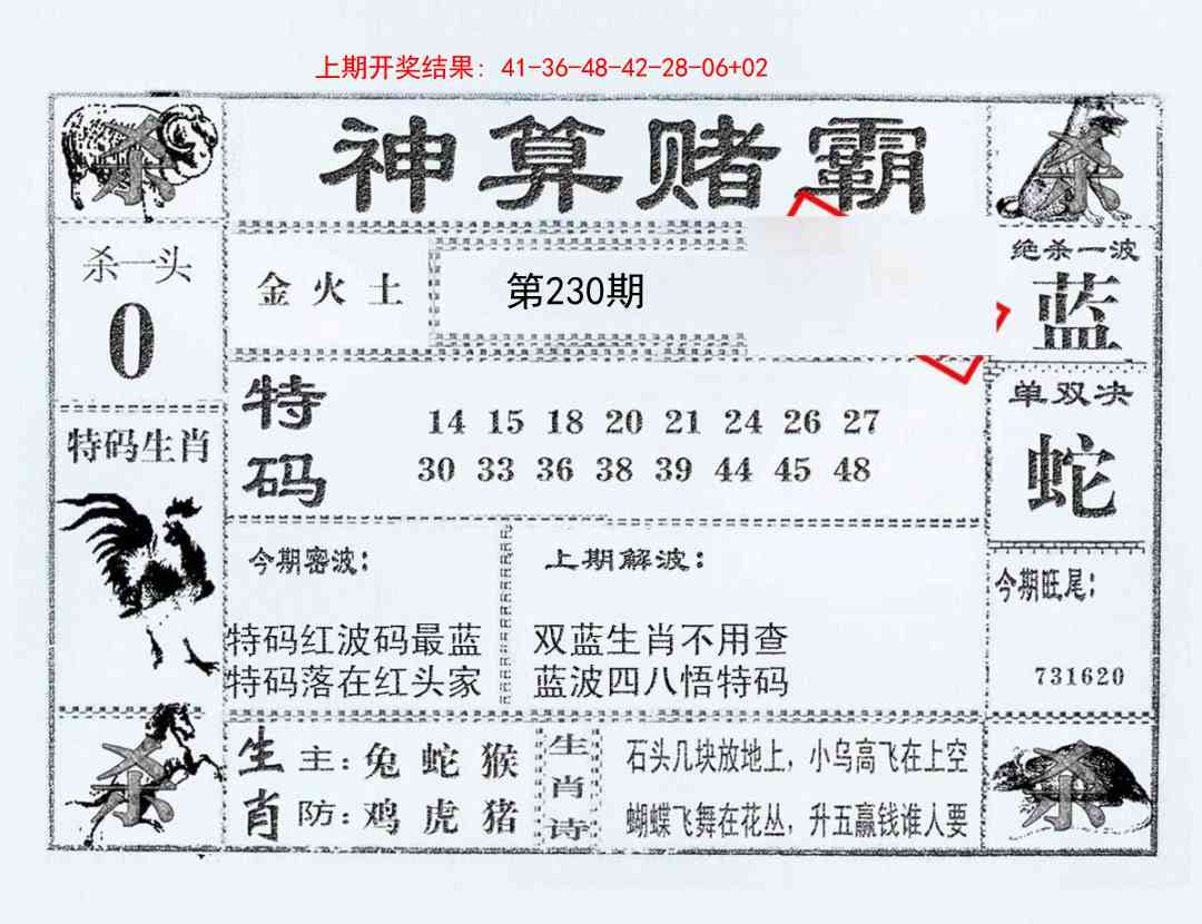 230期神算赌霸[图]