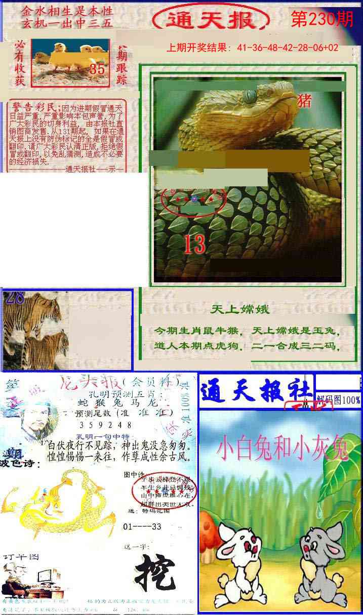 230期实力通天报[图]