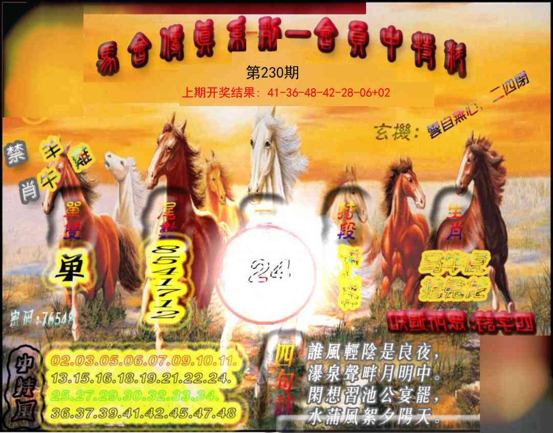 230期马会传真-会员报[图]