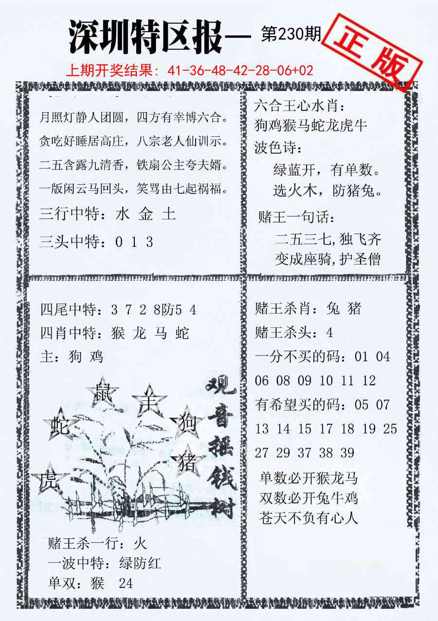 230期深圳特区报A[图]