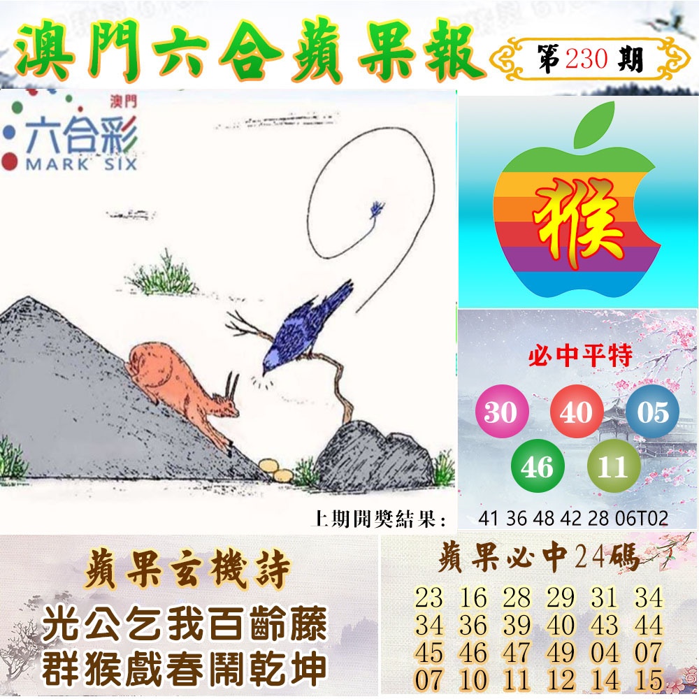 230期苹果报[图]