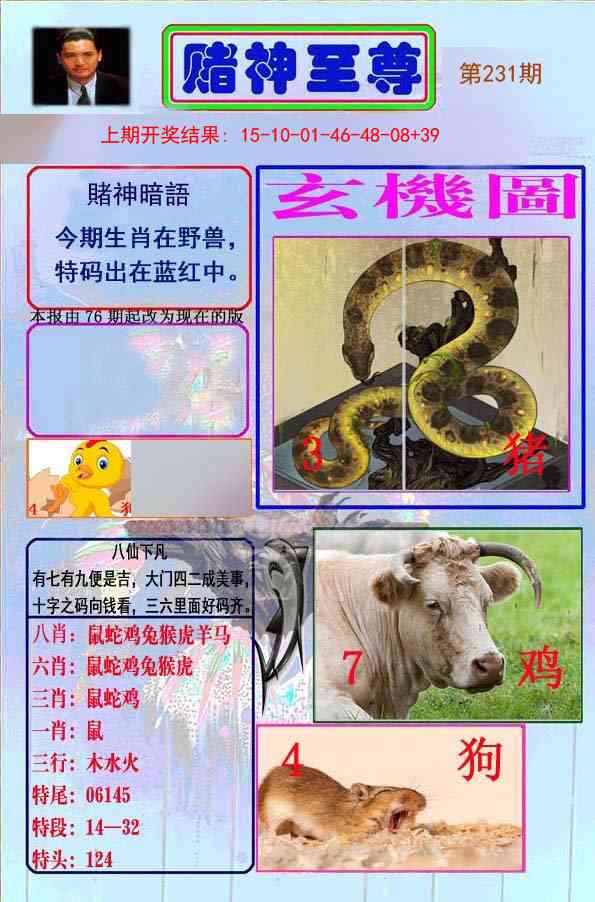 231期赌神至尊[图]