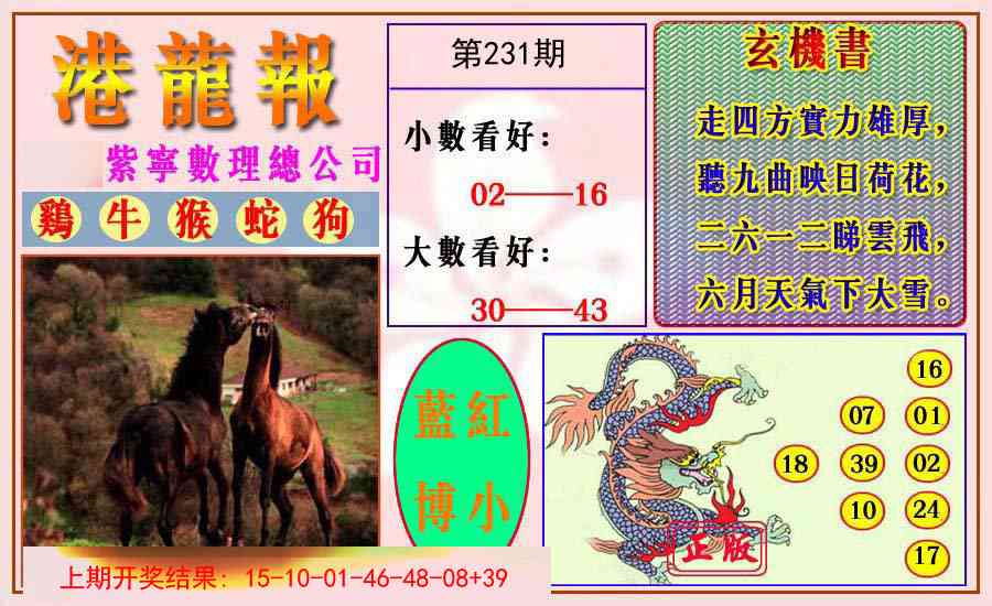 231期港龙报[图]