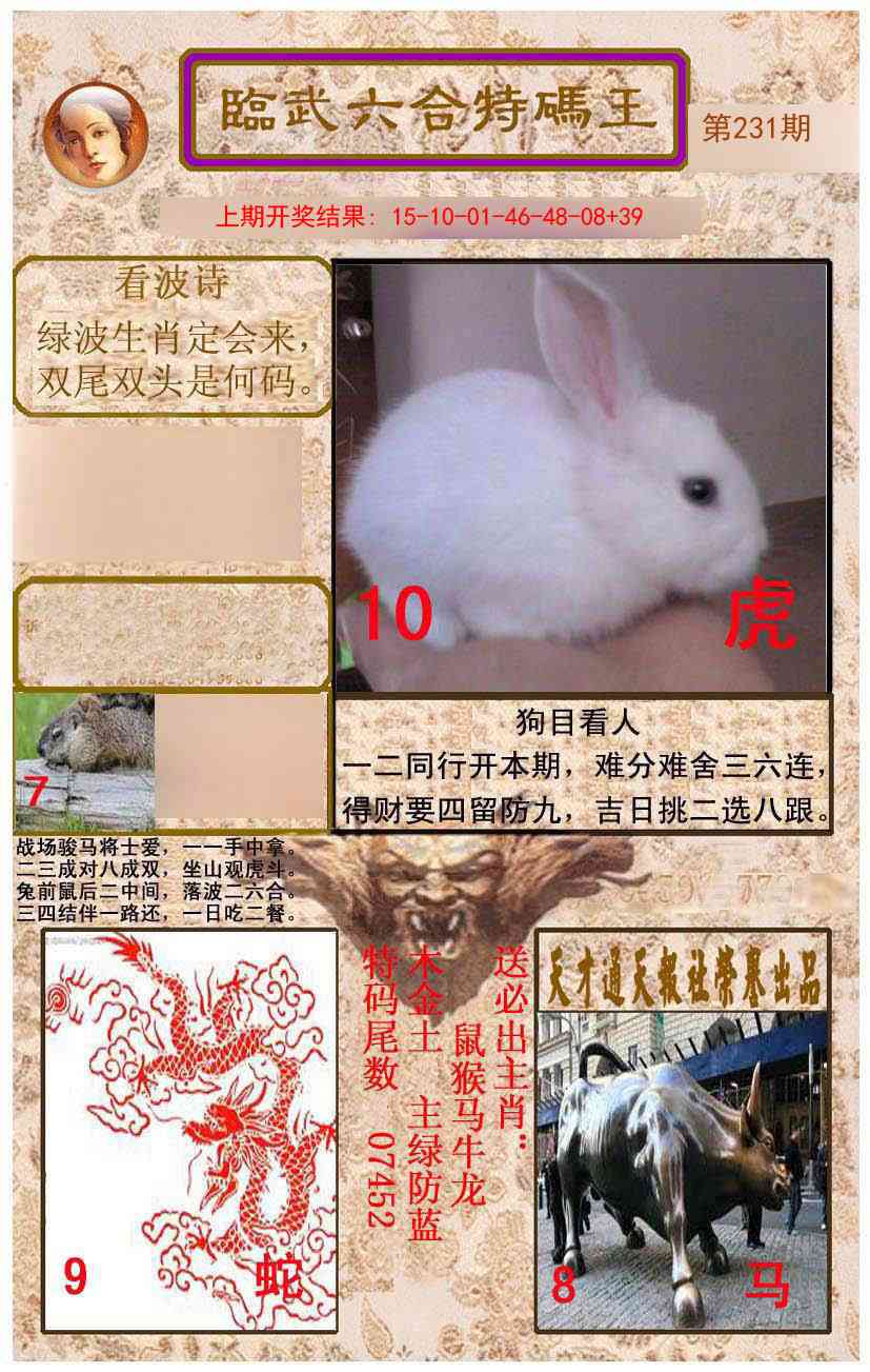 231期临武六合特码王[图]