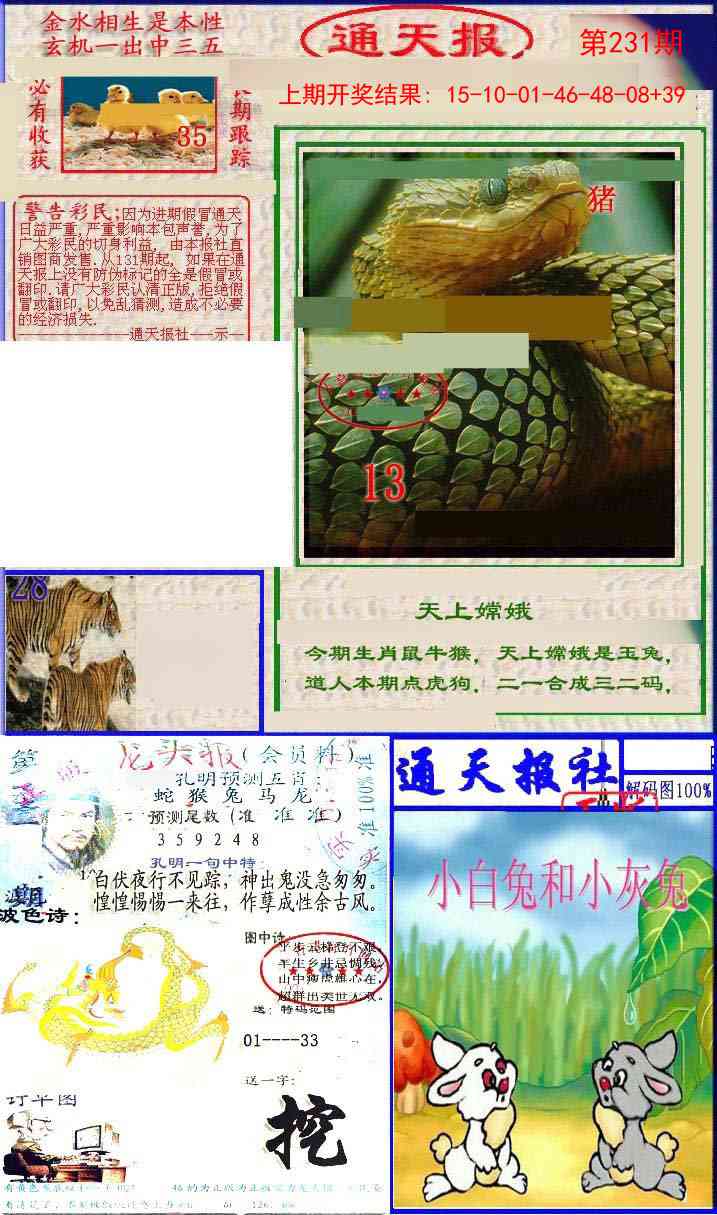 231期实力通天报[图]