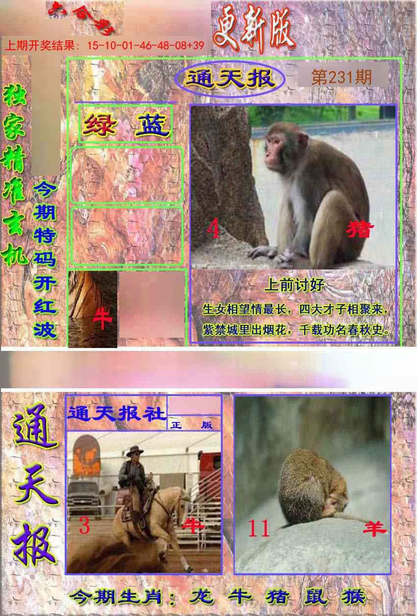 231期新通报[图]
