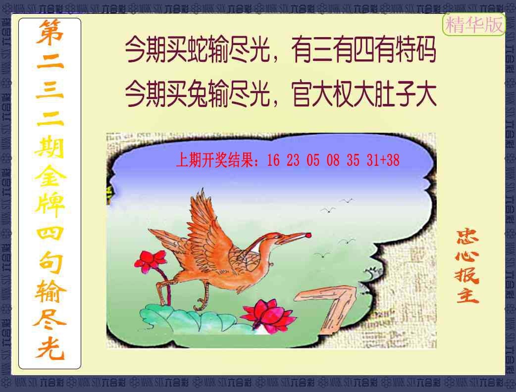 232期金牌四句输尽光[图]