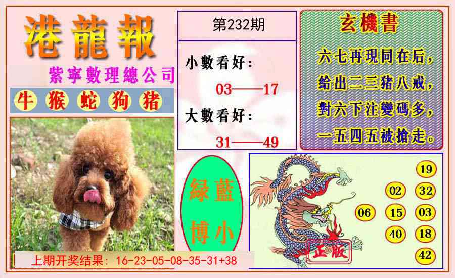 232期港龙报[图]