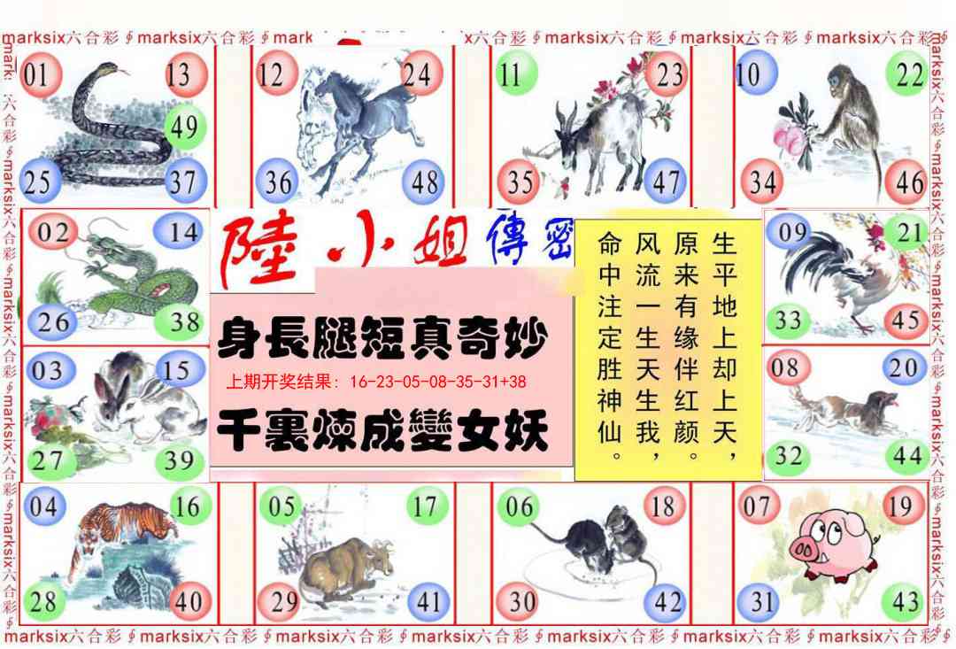 232期陆小姐传密B[图]