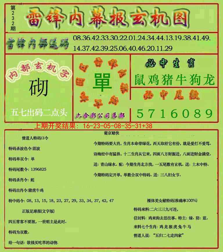 232期雷锋玄机报[图]