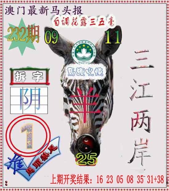 232期马头报[图]