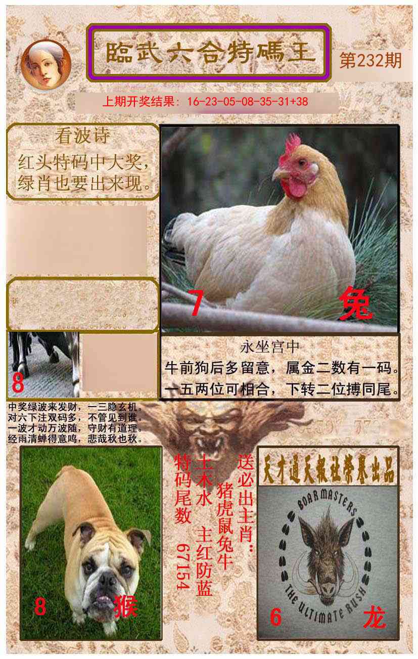 232期临武六合特码王[图]