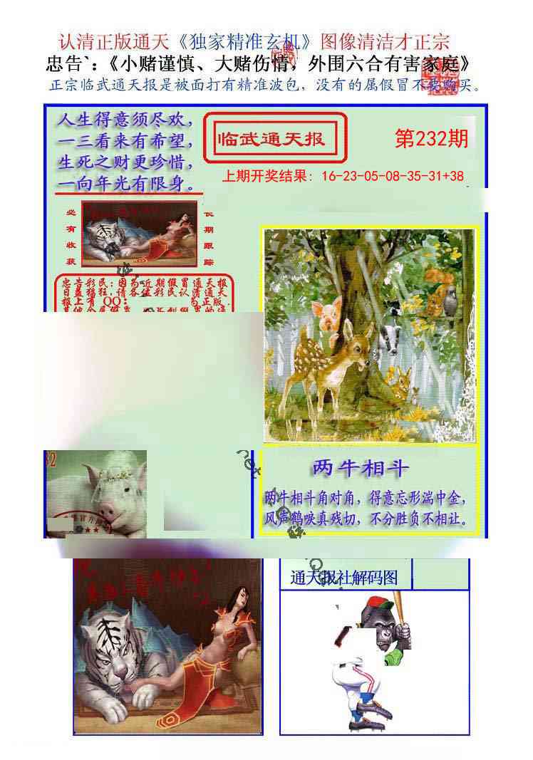 232期临武通天报[图]
