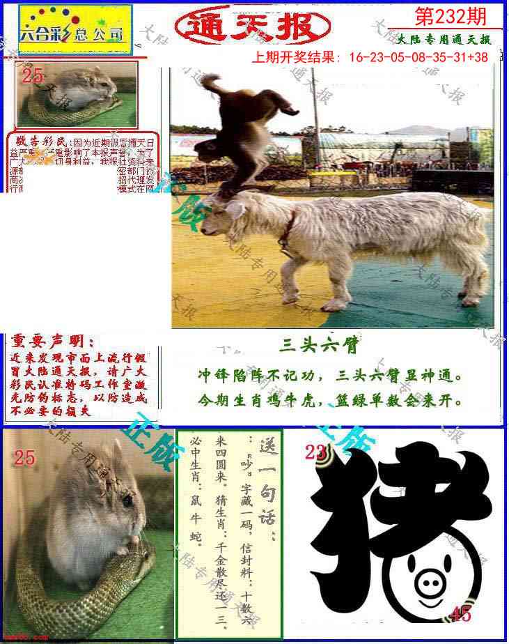 232期大陆通天报[图]