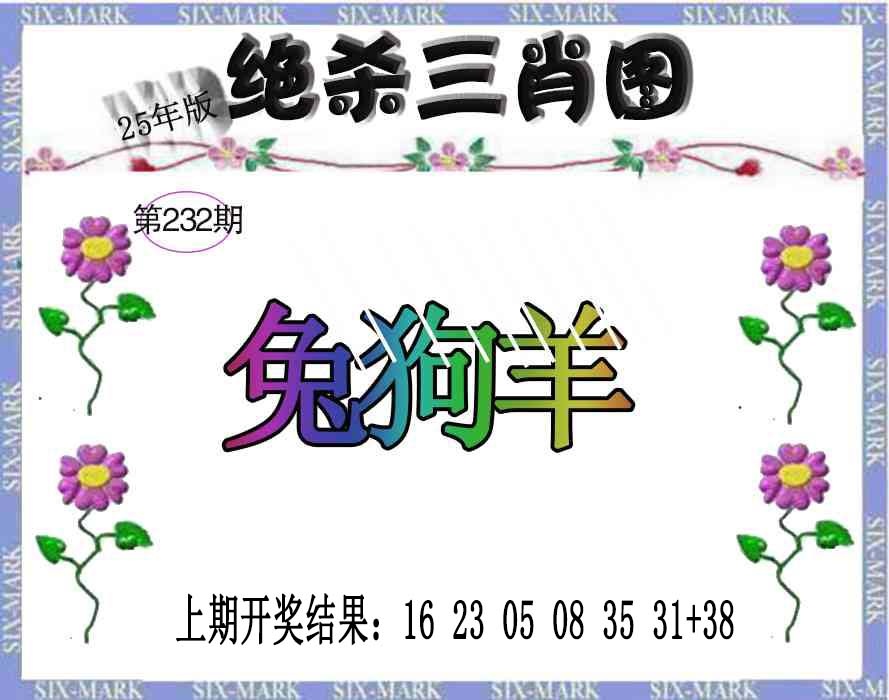 232期生财有道杀三肖[图]