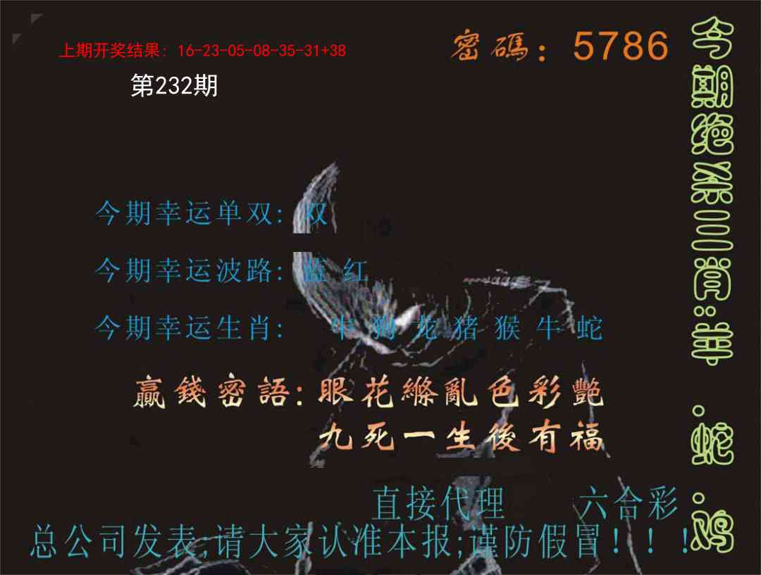 232期特码报[图]