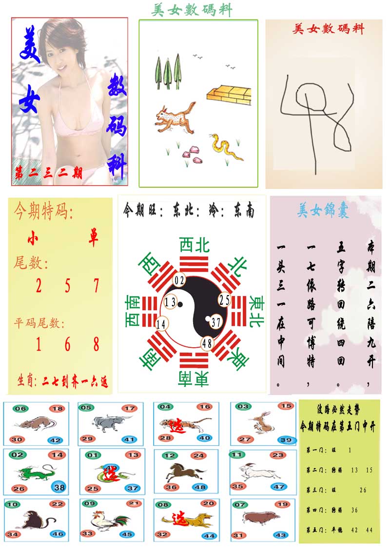 232期美女数码料[图]