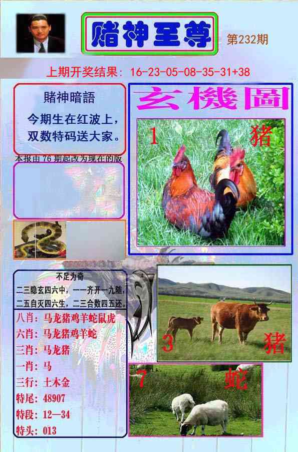 232期赌神至尊[图]