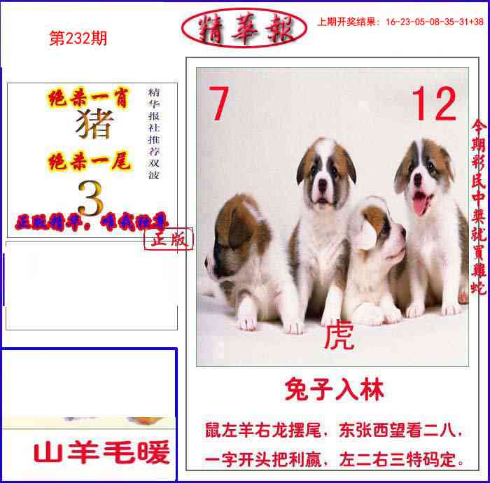 232期新精华报报[图]