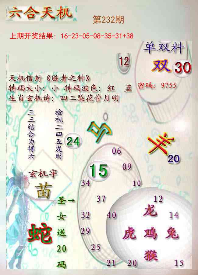 232期天机报[图]
