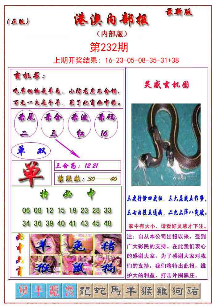 232期港澳报[图]