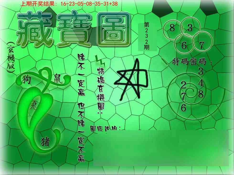 232期九龍玄机报[图]