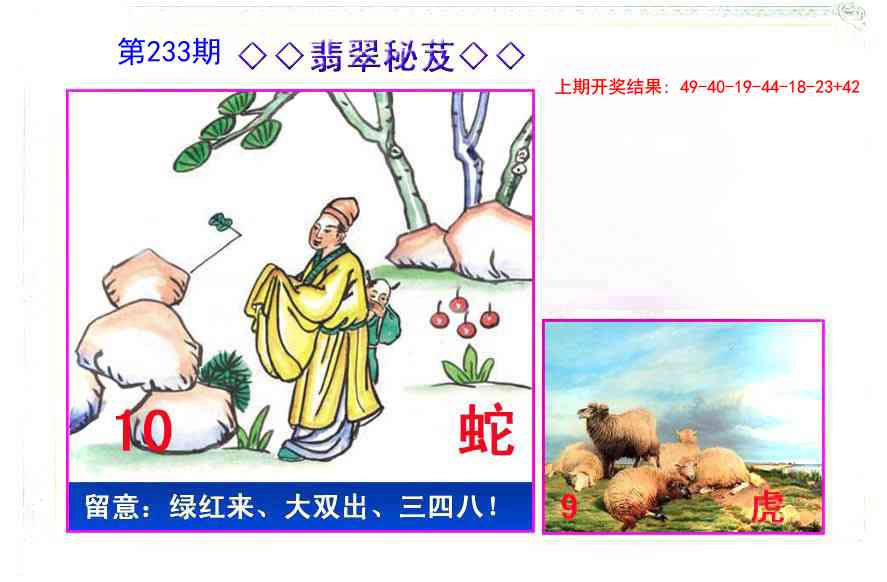 233期翡翠报[图]