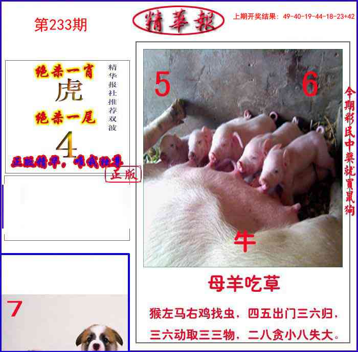 233期新精华报报[图]