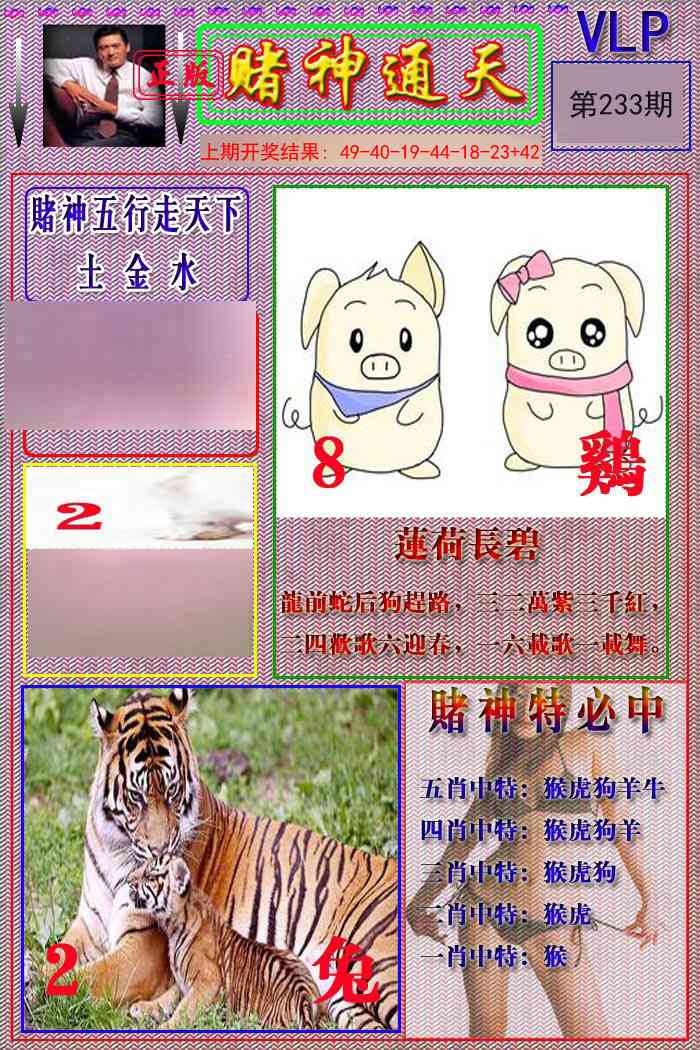 233期赌神通天报[图]