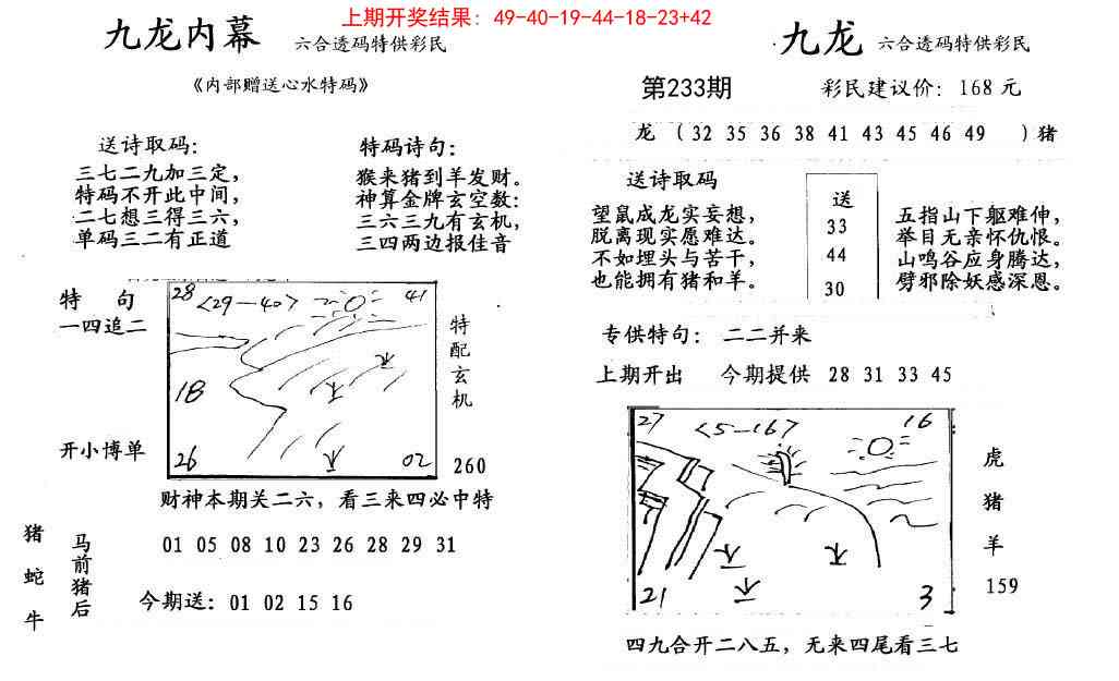 233期九龙内幕[图]