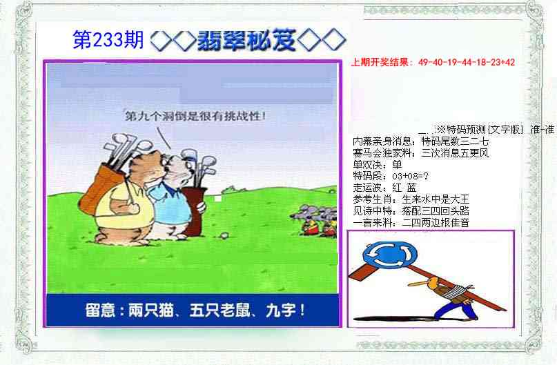 233期另翡翠秘笈[图]