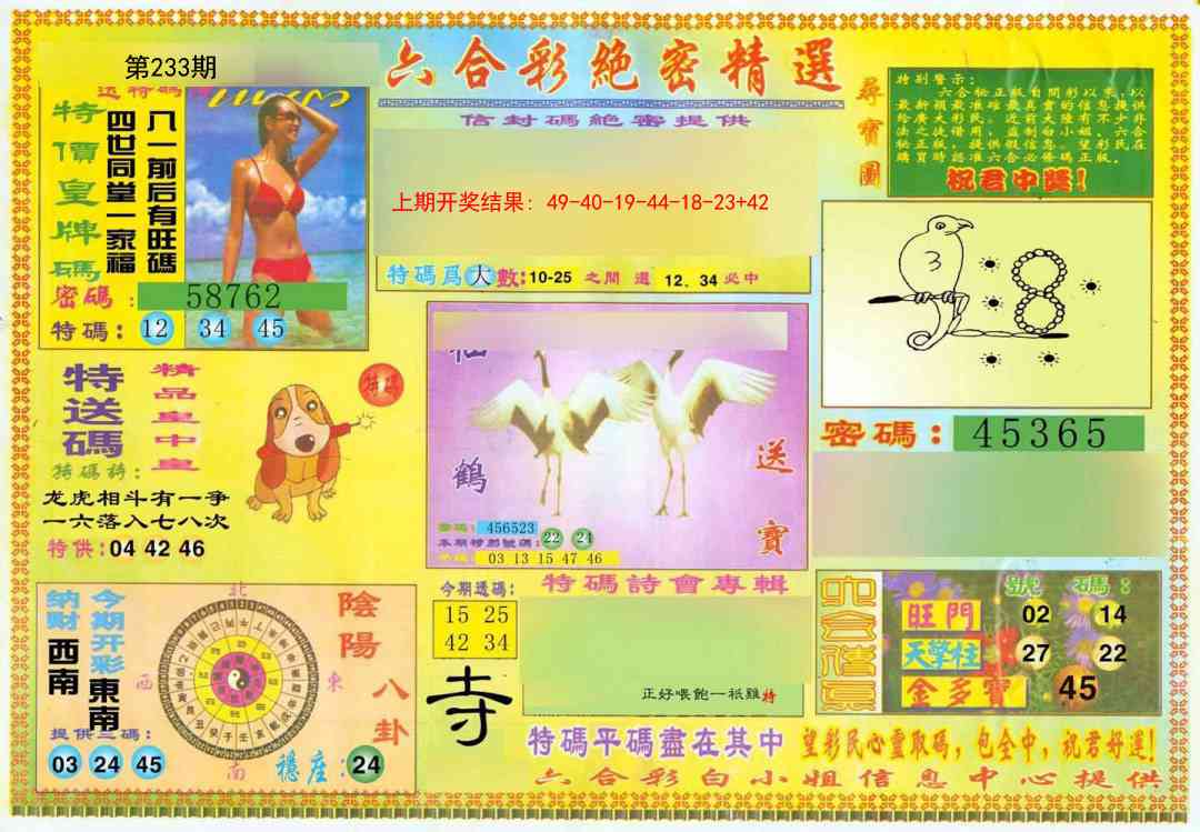 233期绝密精选A[图]