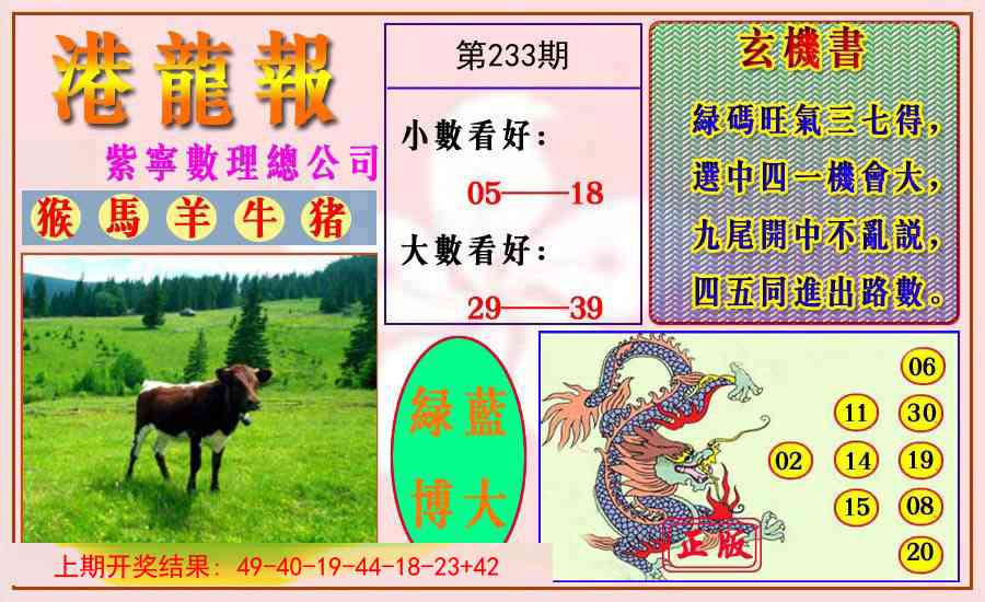 233期港龙报[图]