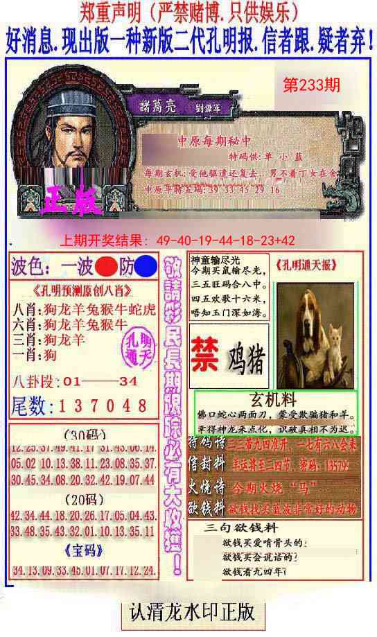 233期另二代孔明报[图]