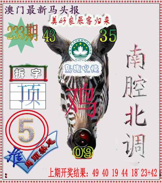 233期马头报[图]