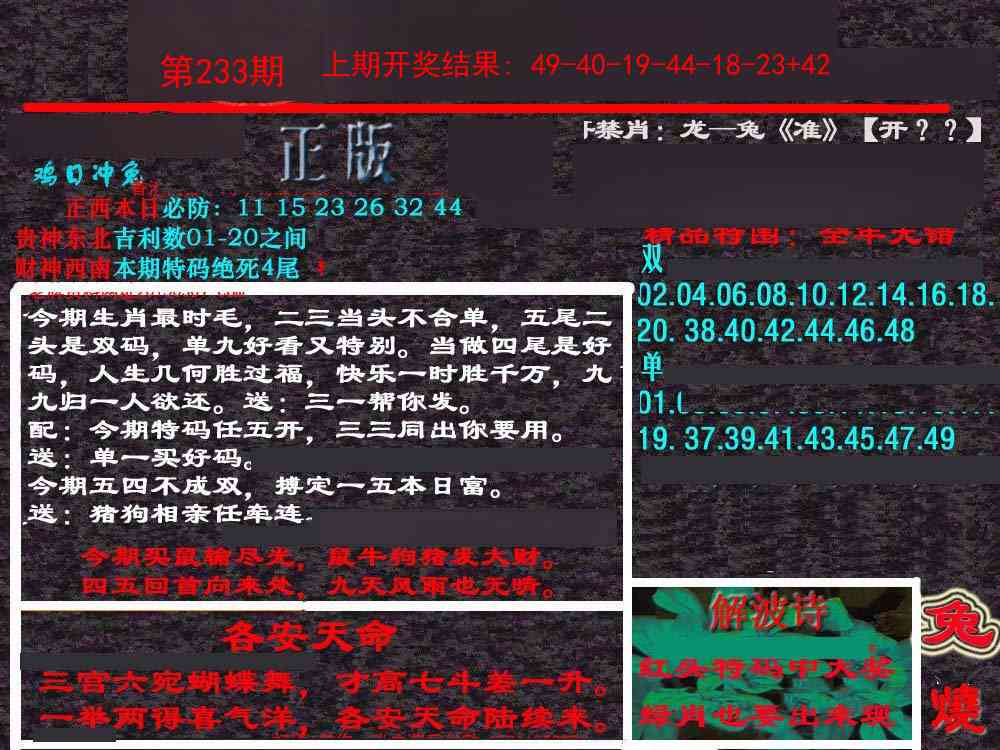 233期新港内幕[图]