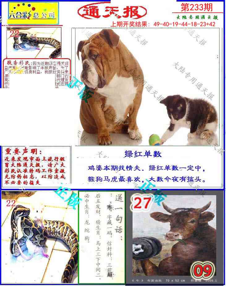 233期大陆通天报[图]