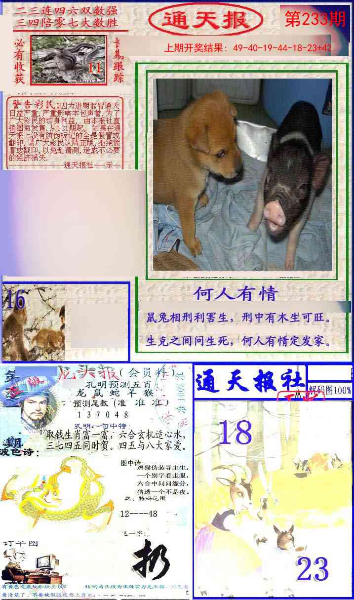 233期实力通天报[图]
