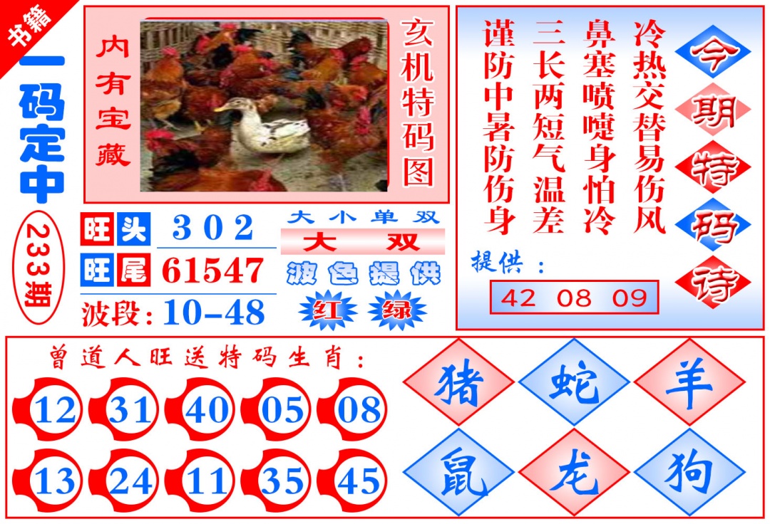 233期澳门定乾坤[图]