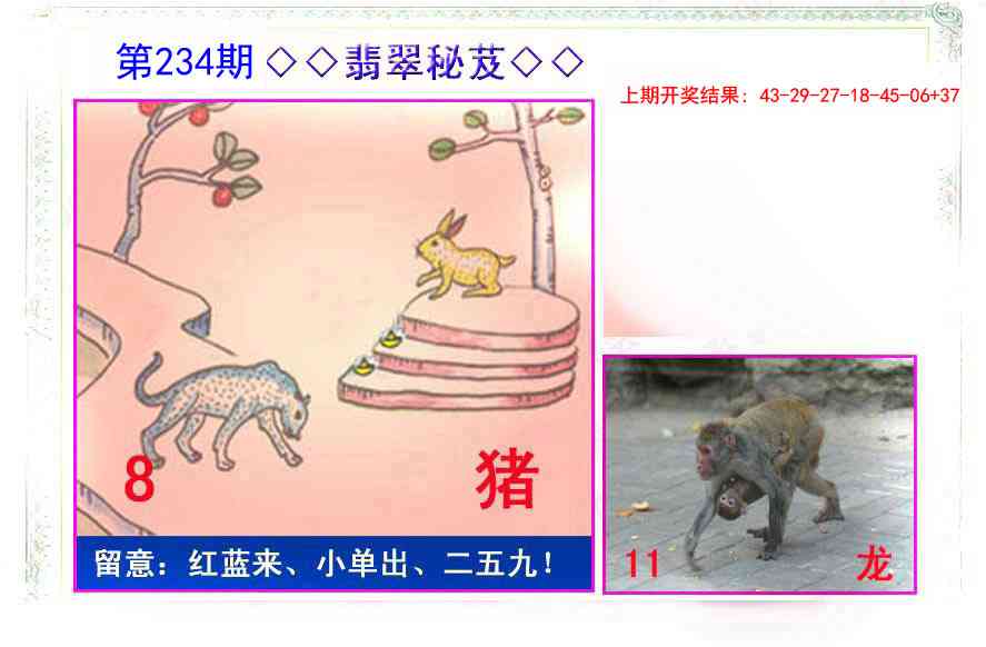 234期翡翠报[图]