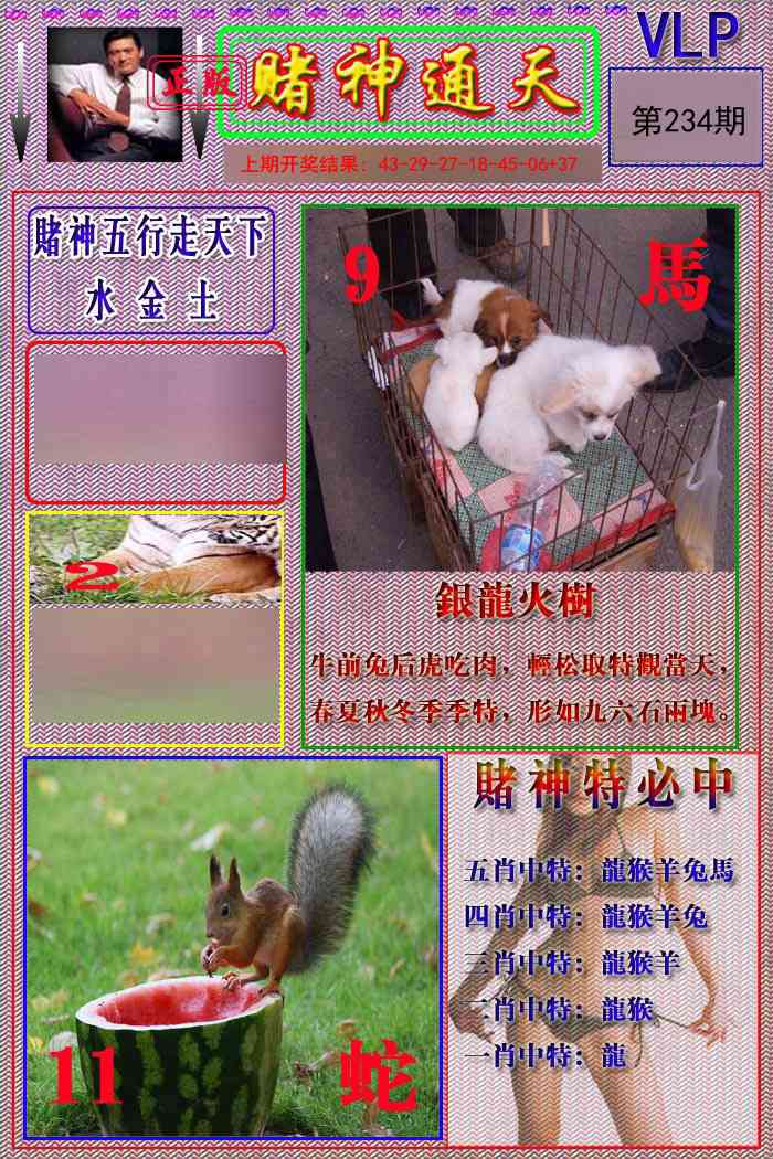 234期赌神通天报[图]