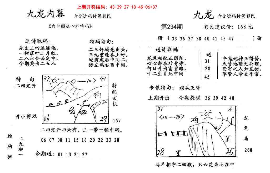 234期九龙内幕[图]