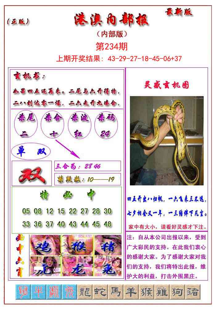 234期港澳报[图]