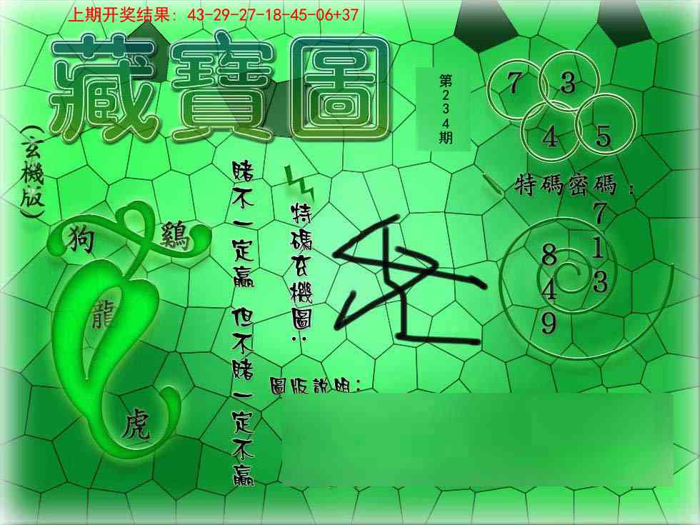 234期九龍玄机报[图]