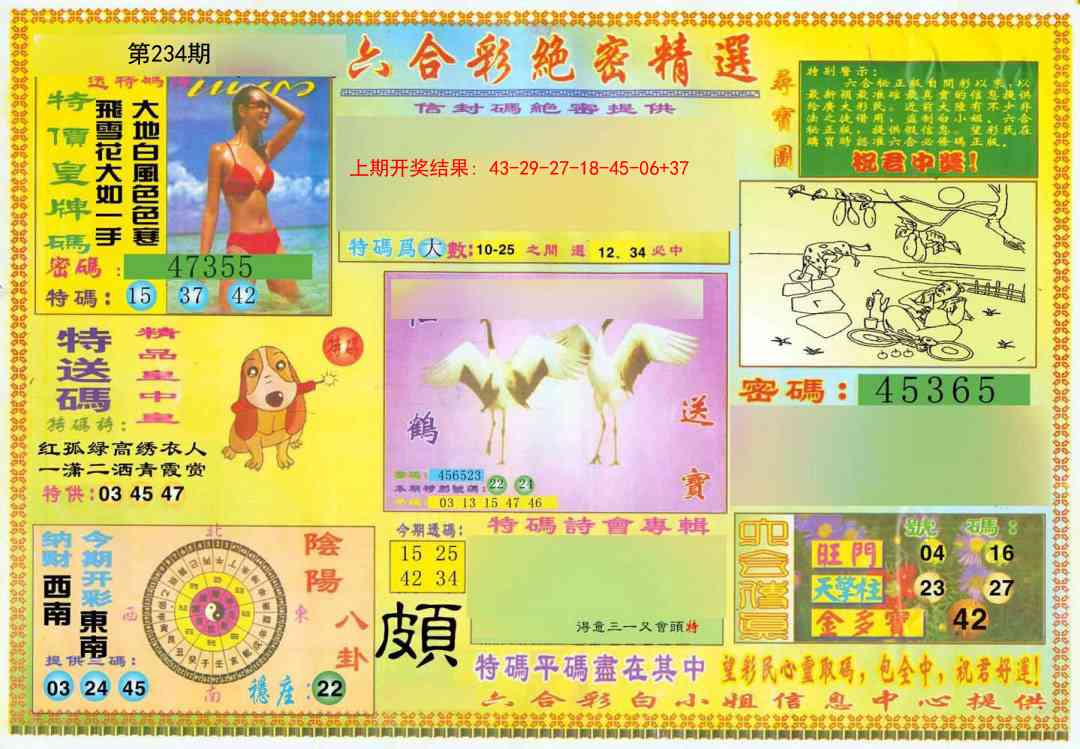 234期绝密精选A[图]