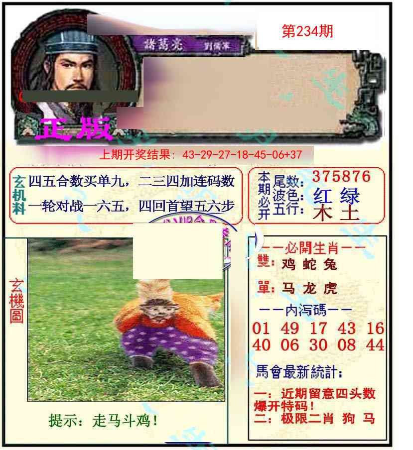 234期正宗孔明[图]