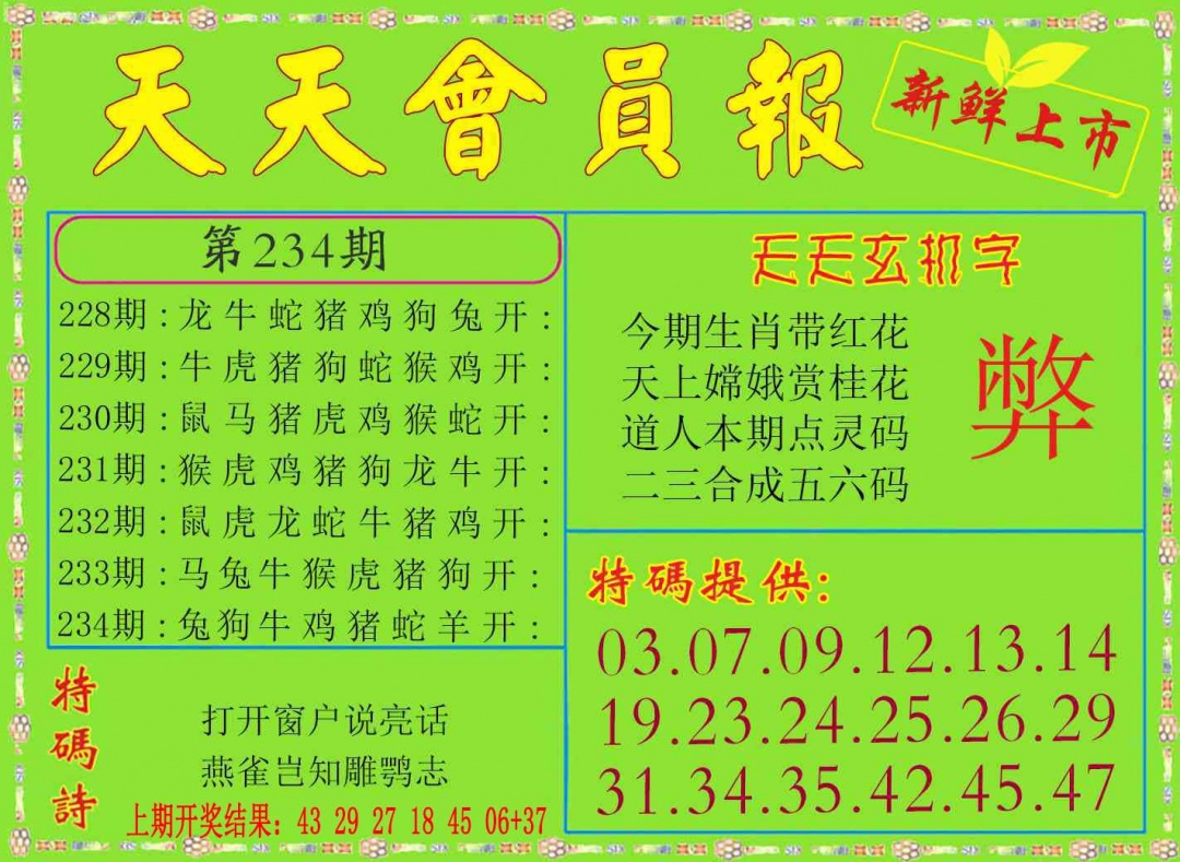 234期天天会员报[图]