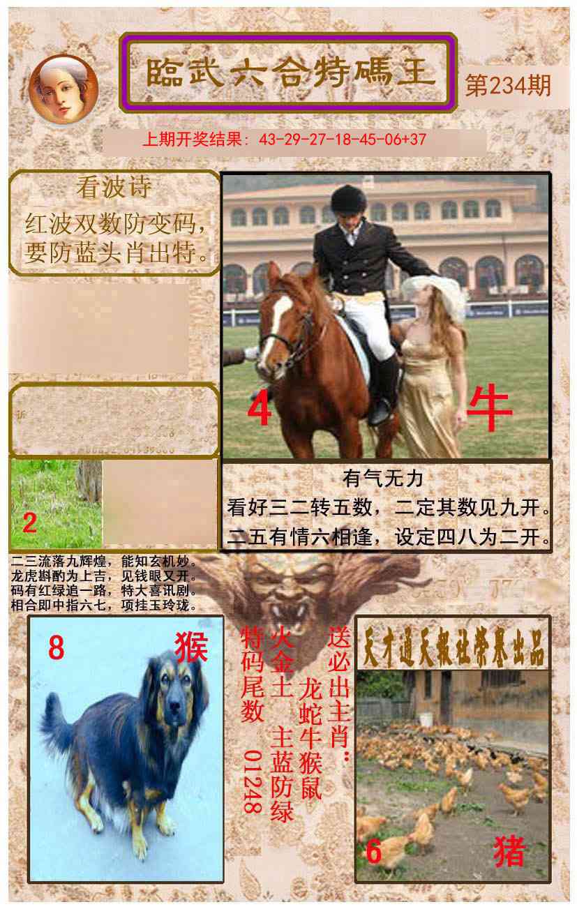 234期临武六合特码王[图]